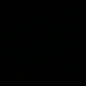 Meet your Posher, Jocelyn